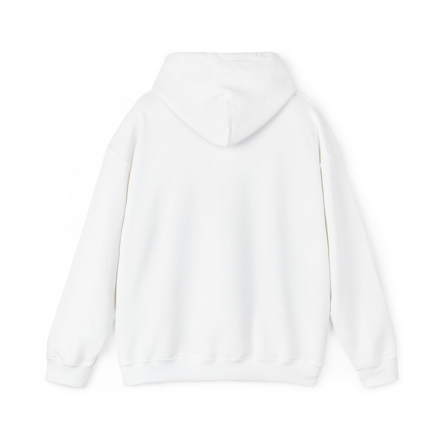 DISCLAIMER: Woman’s Hoodie